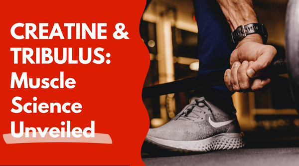 Power Up with Creatine & Tribulus